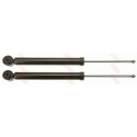 Ammortizzatore JGT570T TRW