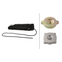Serbatoio compensazione, Refrigerante 8MA366365791 HELLA