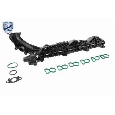 Modulo collettore aspirazione V204377 VAICO