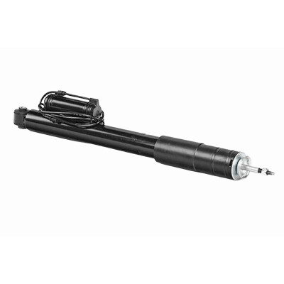 Ammortizzatore V304970 VAICO