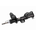 Ammortizzatore V305015 VAICO