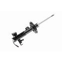 Ammortizzatore V402573 VAICO