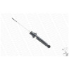 Set ammortizzatori MONROE Reflex E-2041